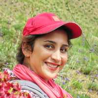 فرانک حسن زاده