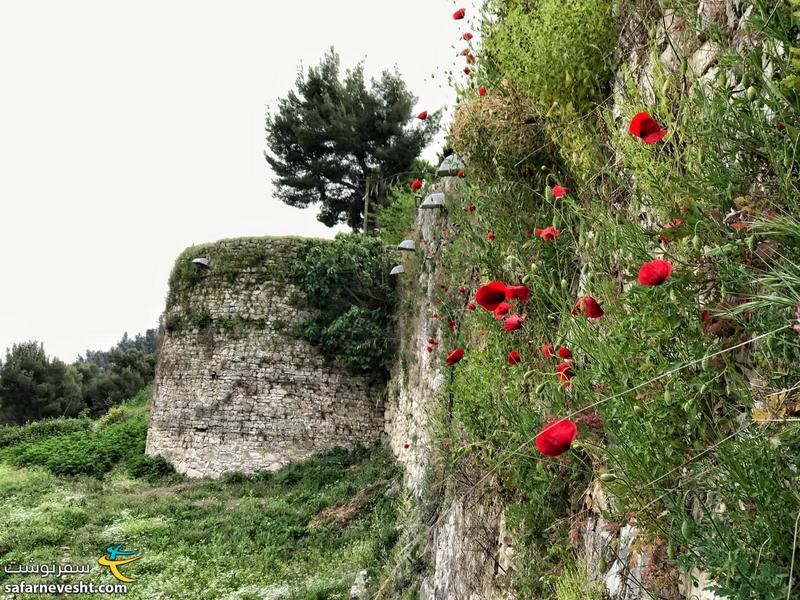 دیوارهای پر از گل قلعه برات در فصل بهار