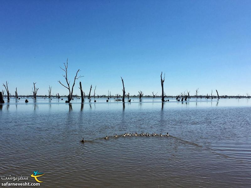 دریاچه سد مولوالا (Lake Mulwala) در مسیر کانبرا