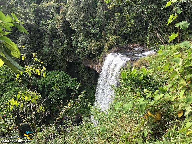 آبشار الینجا (Ellinjaa falls)