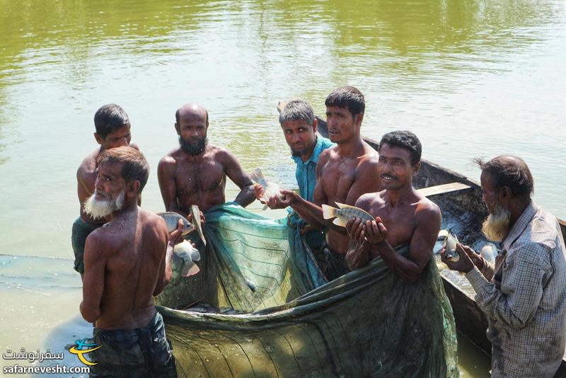 ماهیگیران راضی از صید خوب