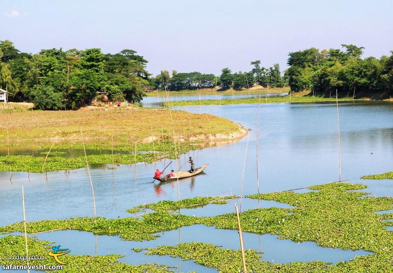 تالاب ها و سنبل های آبی در مسیر سیلت به سریمنگال