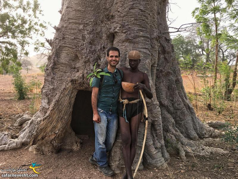 من و رئیس قبیله و درخت بائوباب کهنسال