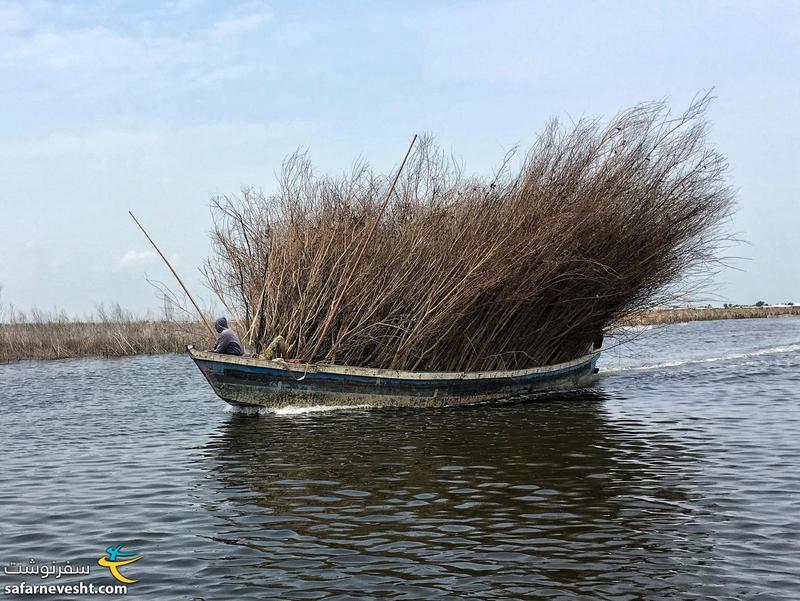 فکر کنم بیش از حد مجاز بار زده بود