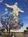  بلندترین مجسمه مسیح در آمریکای جنوبی