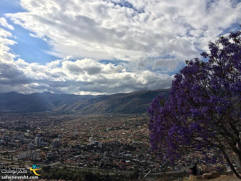 شهر زیبای کوچابامبا و شکوفه هایی که نشانه آغاز بهار در اول مهر بود