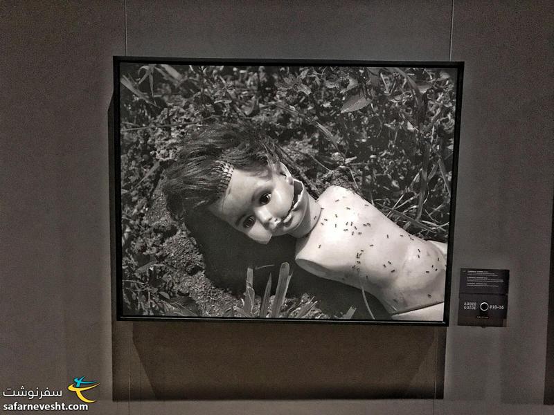 نمایشگاه یادبود کشتار سربرنیتسا در بوسنی