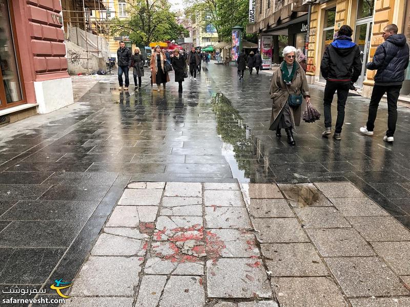 One of Sarajevo Roses