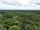 جنگل آمازون در حاشیه شهر مانائوس برزیل