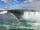 آبشار نیاگارا دوست داشتنی در مرز کانادا و امریکا