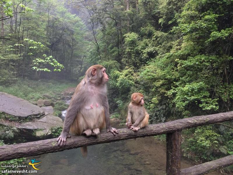 Mother and child annoyed by all the tourists.