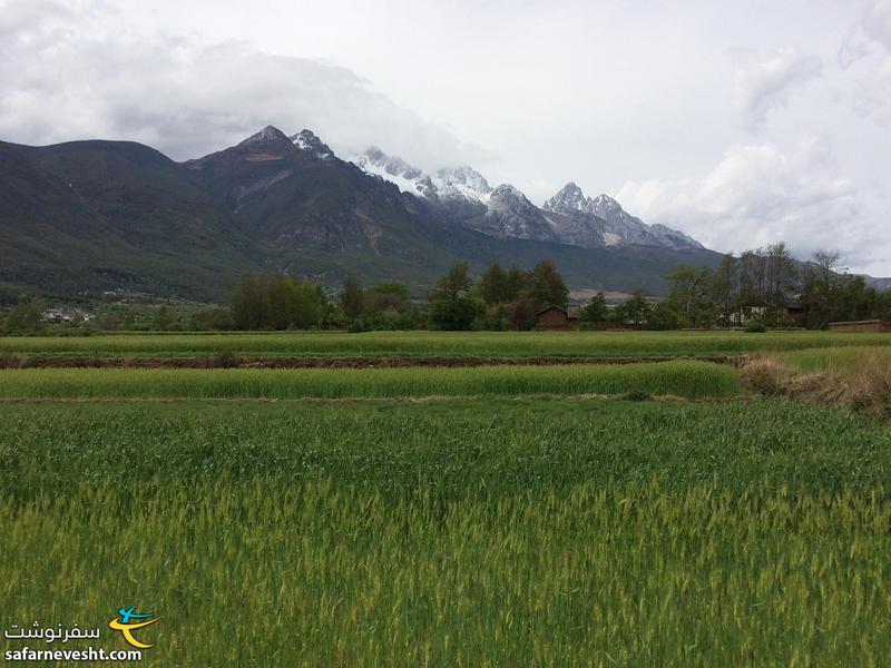 گندم زارهای روستای بایشا و کوه اژدهای یشمی (Jade dragon)