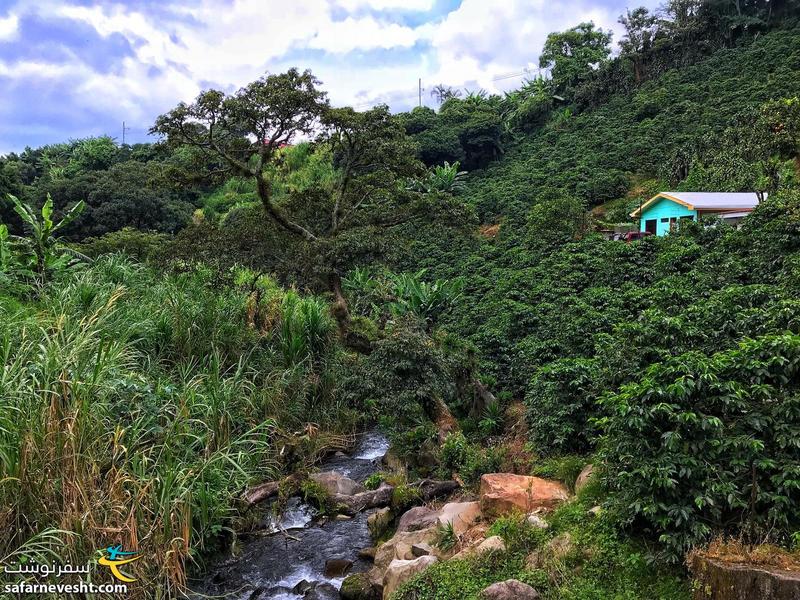 طبیعت زیبا و سبز کاستاریکا