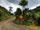 جاده های پر پیچ و خم کاستاریکا