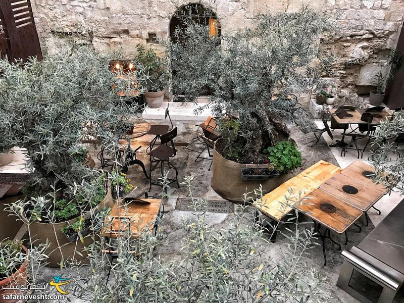 حیاط یک رستوران که با درختان زیتون تزئین شده
