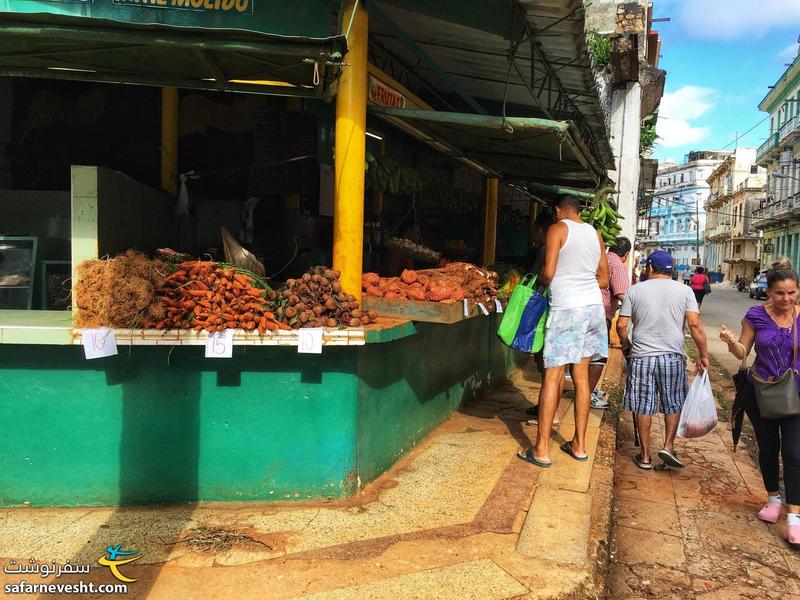 توی کوبا انتظار تنوع زیاد مواد غذایی رو نداشته باشید. توی بقالی ها و مغازه های کوچک معمولا محصولات خود کشور کوبا رو میشه پیدا کرد.