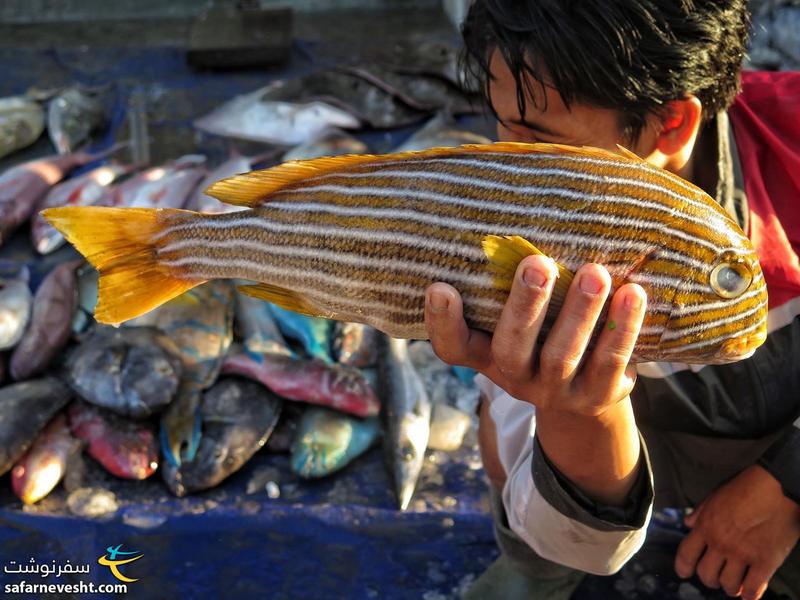 بازار ماهی فروشان ماتارام اندونزی