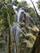 نمایی از آبشار تومالگ در میان جنگل بامبو