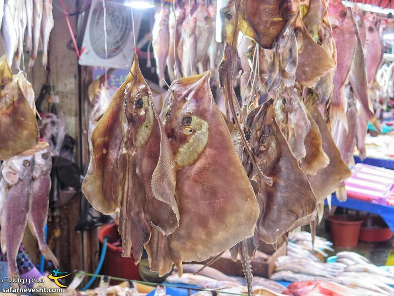 سفره ماهی خشک شده در بازار ماهی فروشان جاگالچی