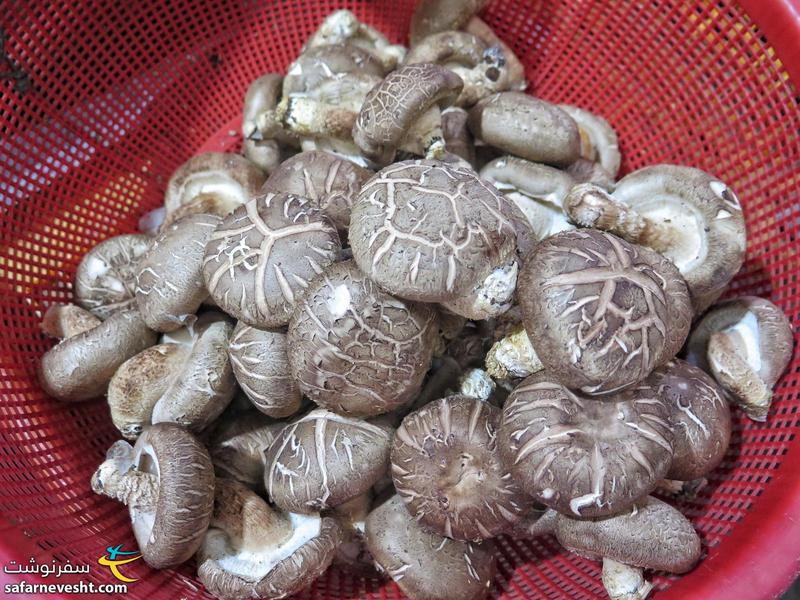 قارچ خوراکی در بازار جاگالچی
