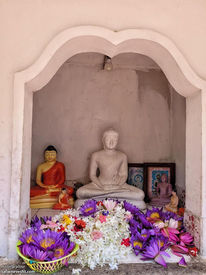 مجسمه بودا به همراه یک عالمه گل زیبا در ورودی معبد دامبولا