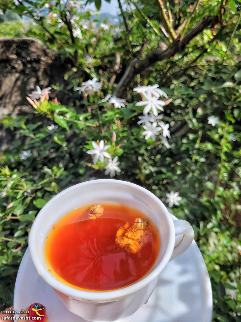 چای و زنجبیل با عطر گل های جاگا هوم استی