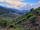 چشم انداز زیبا ازشهر نورالیا و در میان تپه های چای