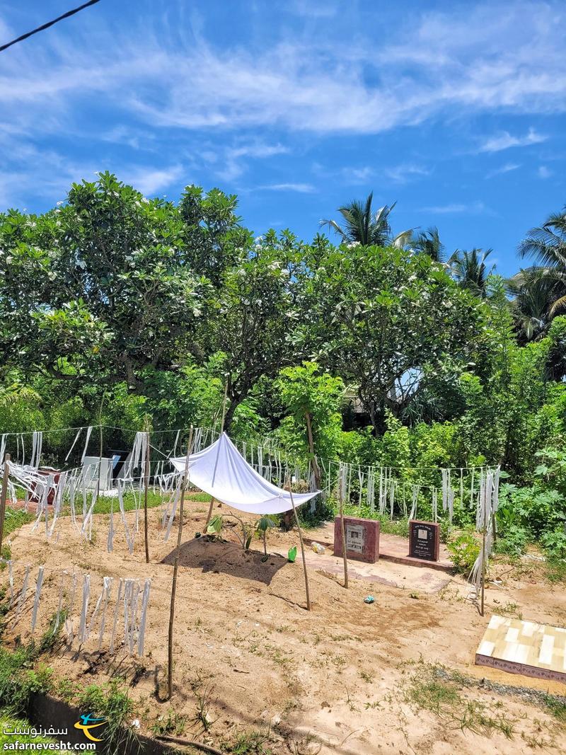 نمونه دیگر از قبرستان های سریلانکا