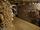 کاتاکومب، تونلهای اسکلتی. با سکوت و سکون در تضاد با پاریسِ پر تپش.