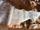 سنگ نوشته های انباط در وادی روم کشور اردن