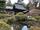 باغی به سبک ژاپنی اطراف معبد که از خود معبد زیباتر بود