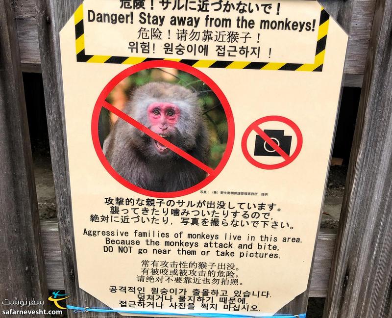 توی کیوتو این هشدار که میمون ها خطرناک هستند و نزدیکشون نشید رو زیاد دیدم، اما میمون ندیدم!