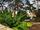 خانه ای ویلایی با درختان موز و نخل در جنوب لبنان