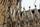 ستون های کوچکتر کلیسا با نمادهای عشای ربانی در کلیسای ساگردا فمیلیا (Sagrada familia)