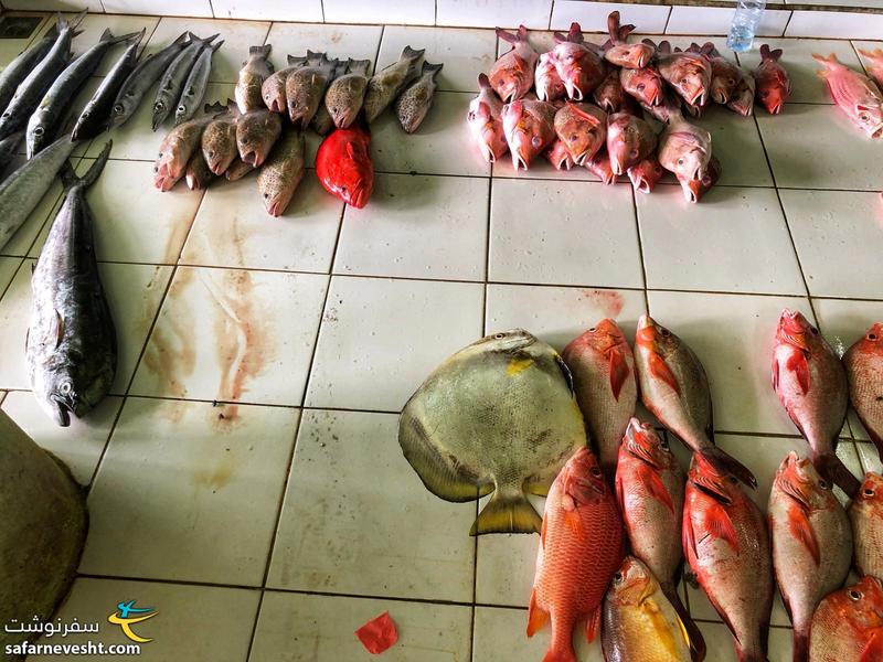 بازار ماهی ماله پایتخت مالدیو
