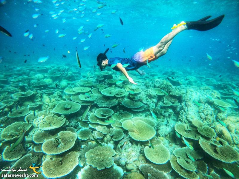 سفرنامه مالدیو؛ بهشت زیر آب