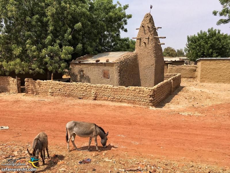 مسجد ساده روستا و خرهای غرب آفریقا با نشان مشخص گردنشون