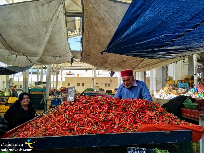 هارومونی این لحظه رو مدیون پولیور و شاشیه حاج آقا هستیم