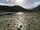 نیلوفرهای آبی رودخانه چرنویویچا در مونته نگرو