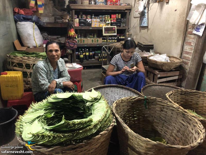 برگ های بیتل