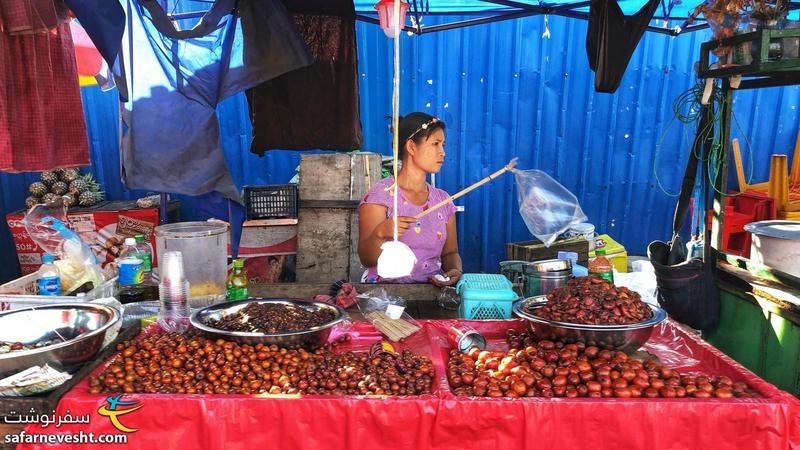 مگس پرونی به شیوه میانماری