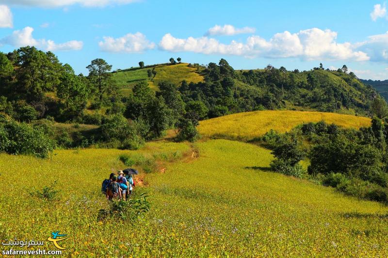 همون ابتدای مسیر، زیبایی ها شروع شد