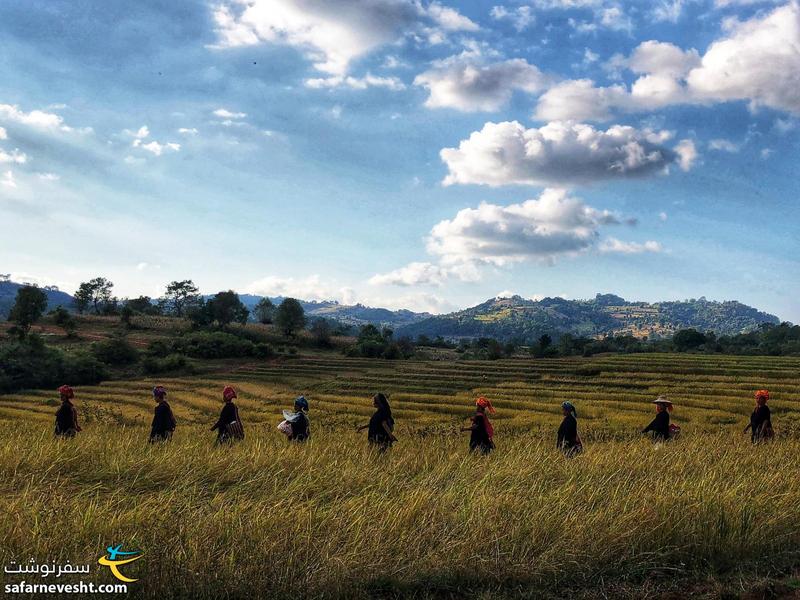 خانم های میانماری در حال بازگشت به خانه پس از یک روز کار