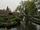 Giethoorn village