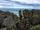 صخره های پنکیکی نیوزلند