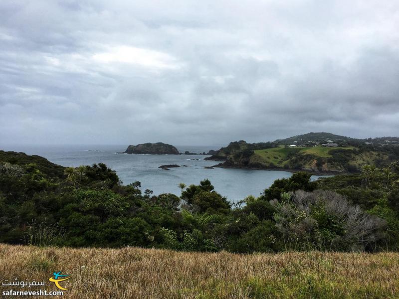 منطقه حفاظت شده توتوکاکا در شمال جزیره شمالی نیوزیلند