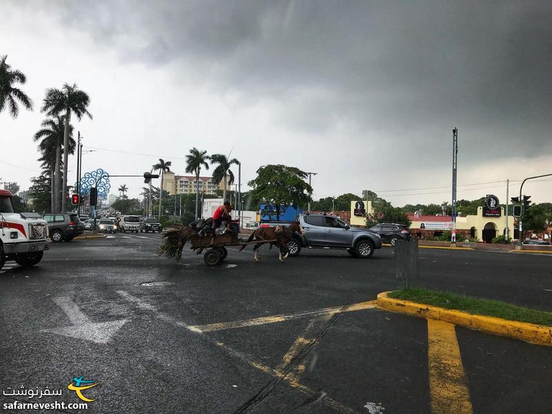 درشکه و اسب در پایتخت نیکاراگوئه
