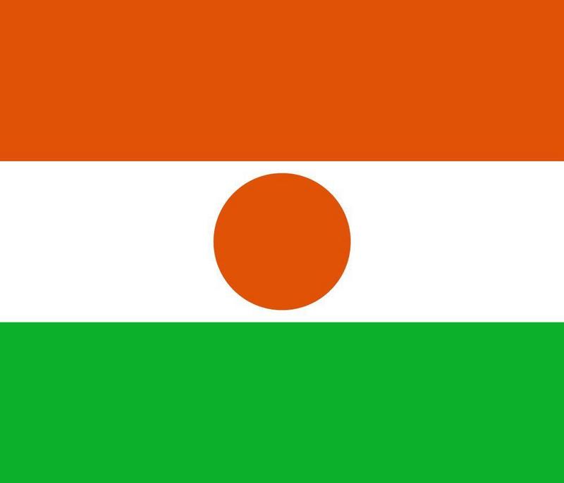 پرچم کشور نیجر  شامل سه رنگ نارنجی، سفید و سبز خیلی به پرچم هند شباهت داره.