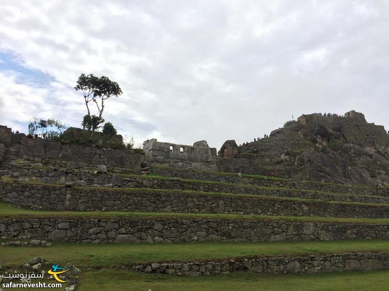 Incas farms and the Room of the Three Windows
