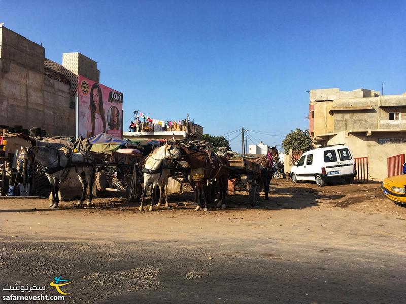 گاری هایی که با اسب کشیده میشند یکی از انواع وسایل حمل و نقل در داکار هست